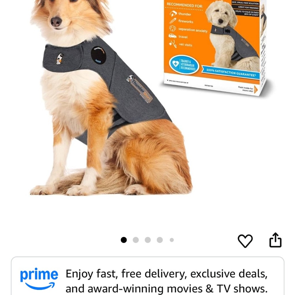 Thundershirt for Dog - Picture 4 of 6